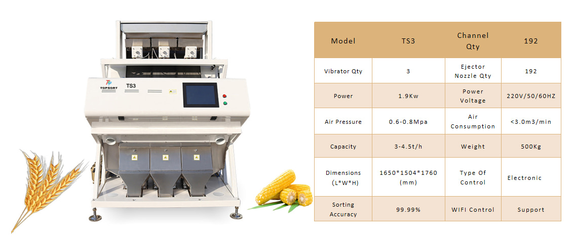 color sorting technology