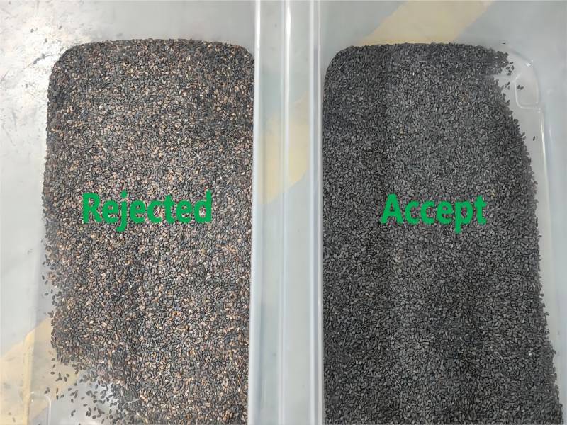 วิดีโอการทำงานของเครื่องคัดเเยกสีเมล็ดแมงลัก Topsort จากเว็บไซต์ของลูกค้า