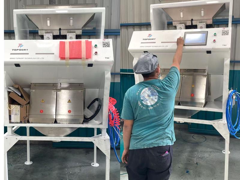 ท็อปสเตอร์ตัวเรียงลำดับสีสำหรับเมล็ดใบโหระพาที่ไซต์ไคลเอ็นต์อินโดนีเซีย