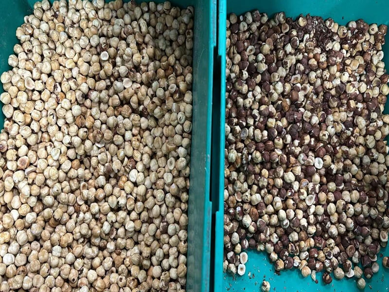 เครื่องคัดแยกสีเฮเซลนัทขนาดเล็กรุ่นยอดนิยม