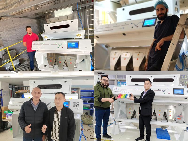 color sorter project