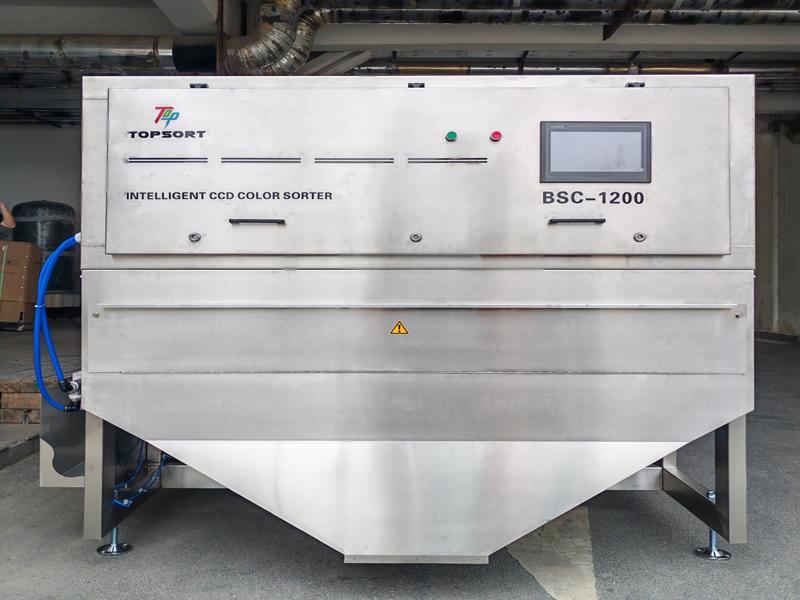 olive sorting machine