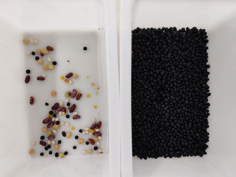 เครื่องคัดแยกสีขนาดเล็กสำหรับถั่วดำ มีความแม่นยำในการคัดแยก 99.99%