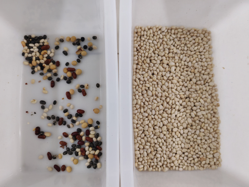 เครื่องคัดแยกสีขนาดเล็ก TOPSORT สำหรับถั่วขาวที่มีประสิทธิภาพดีเยี่ยม