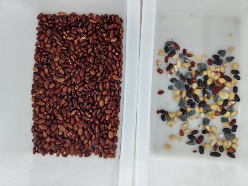 เครื่องคัดแยกสีถั่วเขียวขนาดเล็ก TOPSORT มีประสิทธิภาพการคัดแยกที่ดี