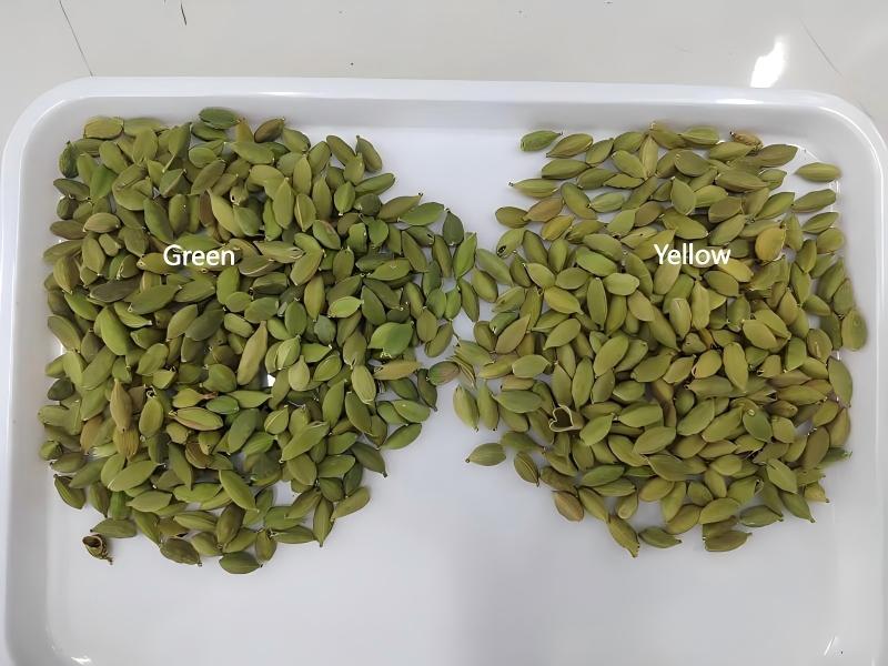 เครื่องคัดแยกสีกระวานแบบท็อปซอร์ตพร้อมประสิทธิภาพที่ยอดเยี่ยม