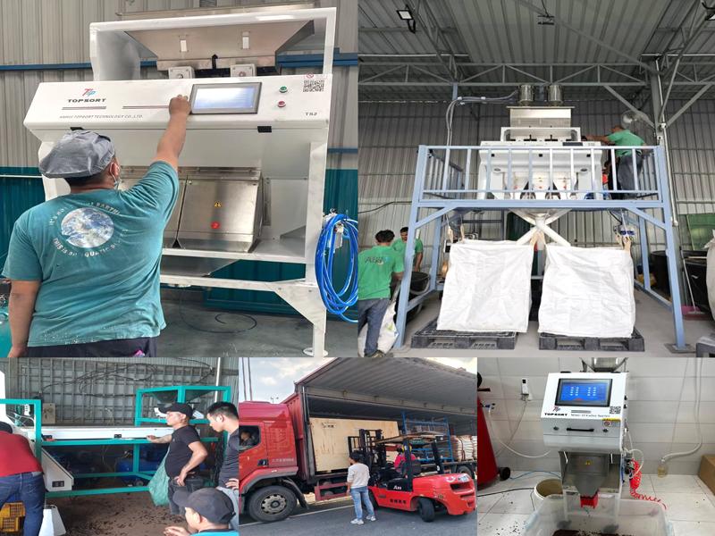 color sorter project color sorter project