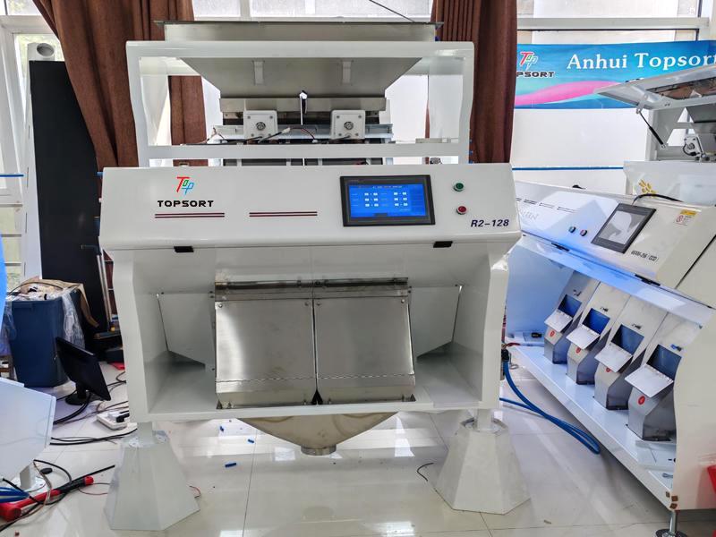 grain color sorter