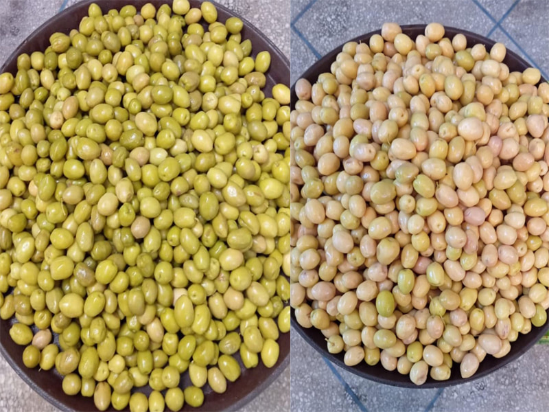 เครื่องคัดแยกมะกอกกันน้ำ TOPSORT จากไซต์ลูกค้า