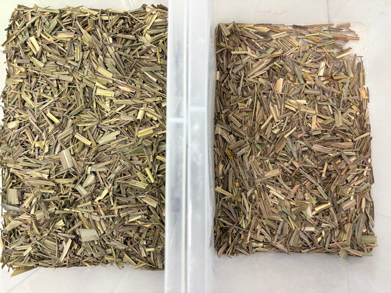 เครื่องคัดแยกสีตะไคร้ TOPSORT พร้อมรีโมทคอนโทรล