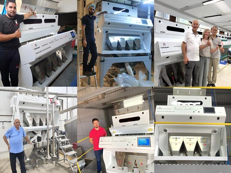 color sorter project