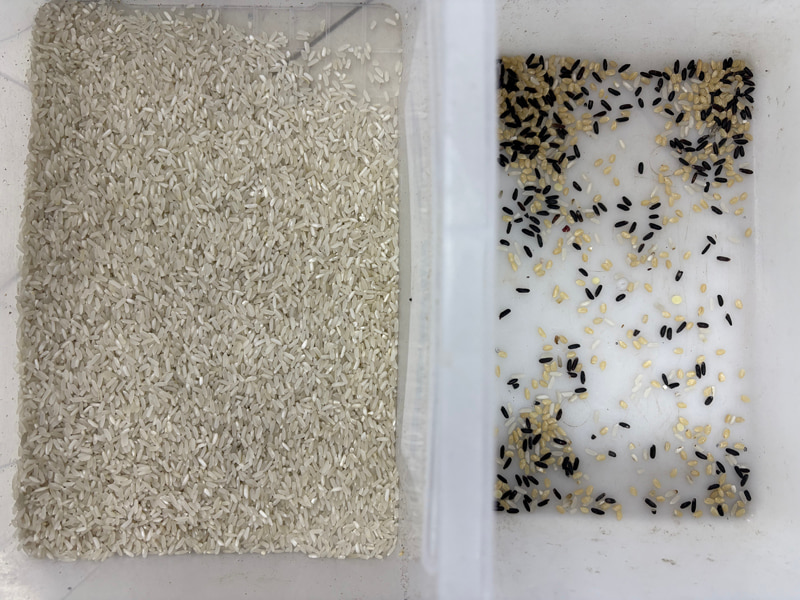 เครื่องคัดแยกสีข้าวขนาดเล็ก TOPSORT ที่มีความแม่นยำสูง