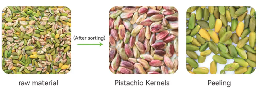 pistachio color sorter