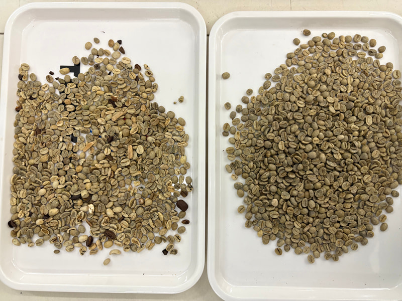 เครื่องคัดแยกสีเมล็ดกาแฟ TOPSORT ด้วยเทคโนโลยี AI ใหม่ล่าสุด ด้วยเทคโนโลยีการเรียนรู้เชิงลึก