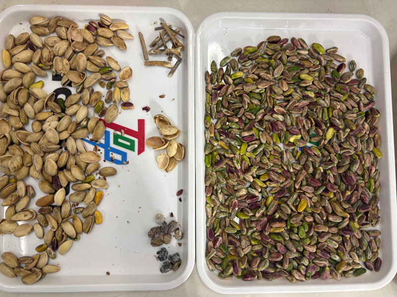 TOPSORT โปรแกรมคัดแยกสีพิสตาชิโอด้วย AI โดยใช้อัลกอริทึมการเรียนรู้เชิงลึกล่าสุด